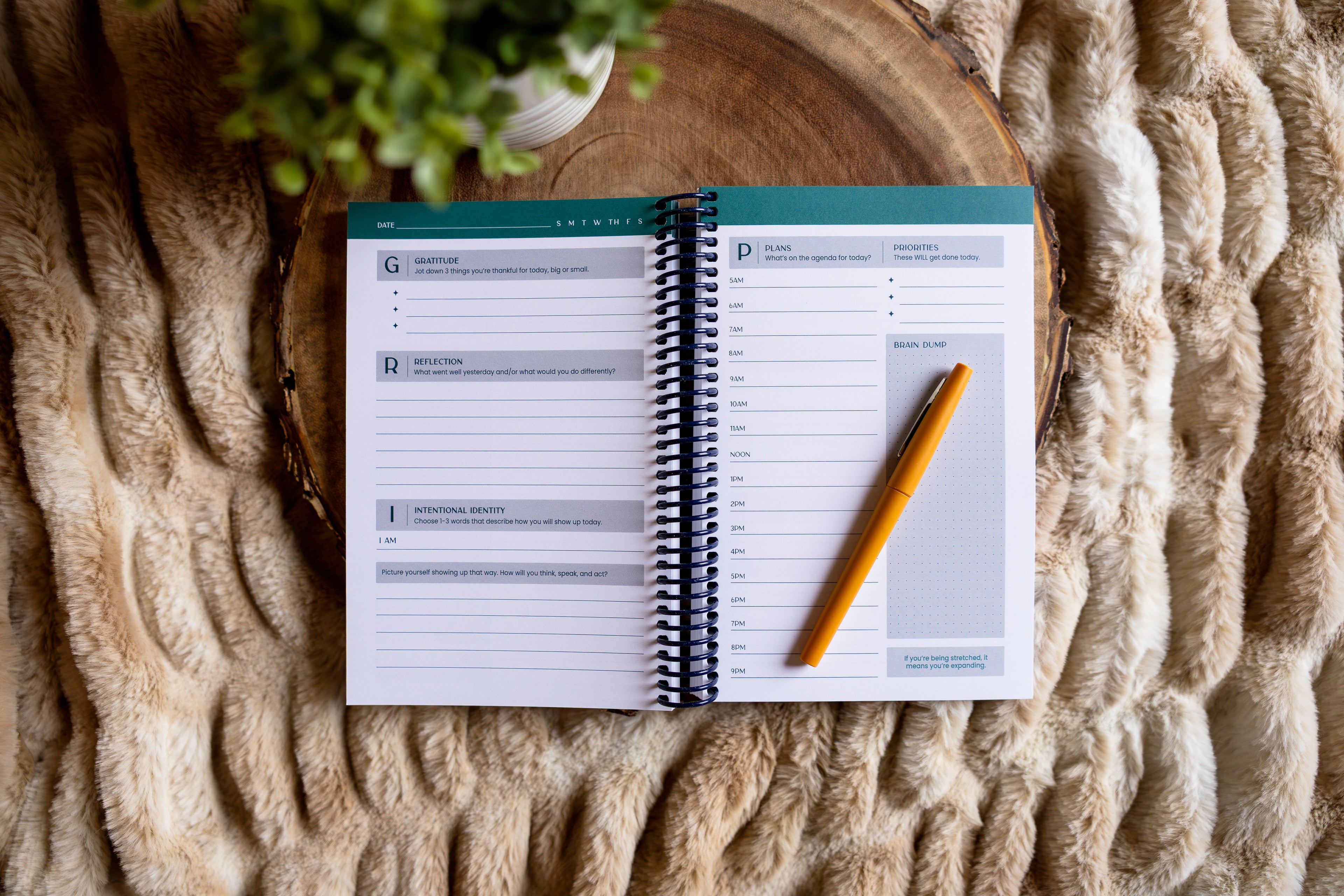 The Daily GRIP 90-Day Journal + Planner (Deep Sea Teal)